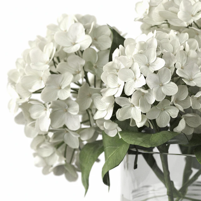 Decorative Set 62 — Descargar