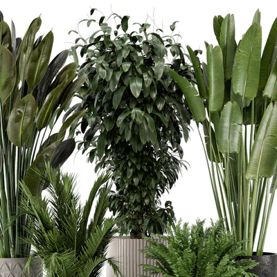 Indoor Plants in rusty Concrete Pot - Set 542 — Ver 3