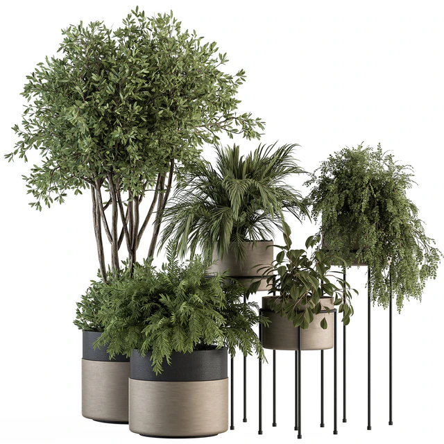 indoor Plant Set 398- Tree and Plant Set in pot — Descargar