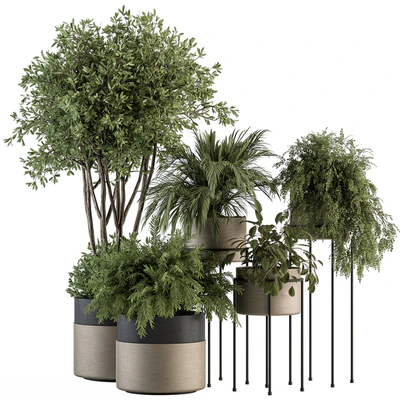 indoor Plant Set 398- Tree and Plant Set in pot — Ver 1