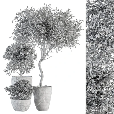 Outdoor Plant Set 363 - Plant Set in Stone Pot — Вид 3
