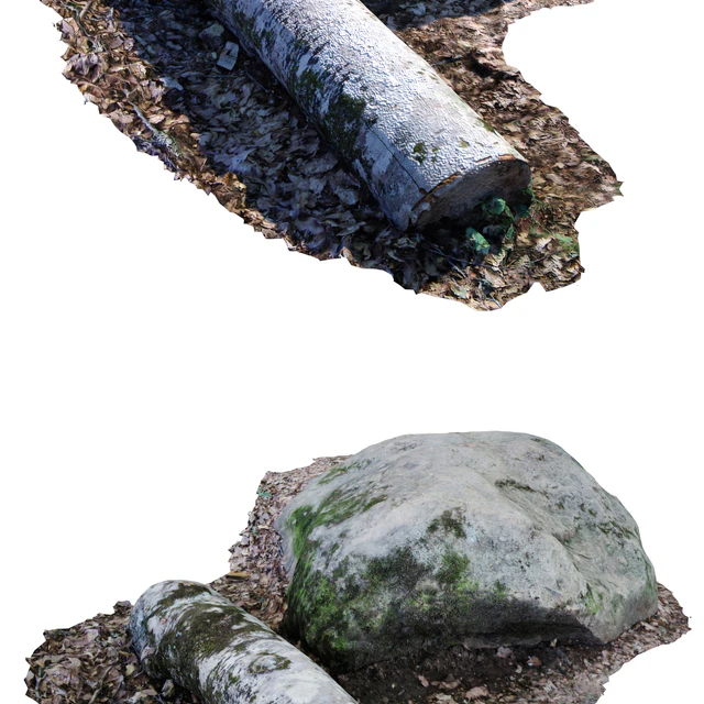 Stone with a log — Descargar