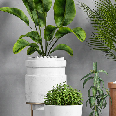PLANT SET -103 — Вид 2