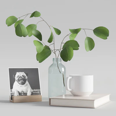 decorative set with eucalyptus branch 2 — Ver 1
