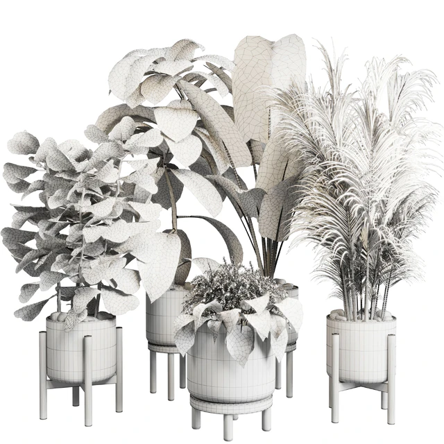 collection Indoor plant 30 -wood vase — Descargar