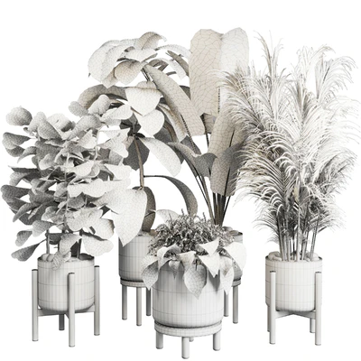 collection Indoor plant 30 -wood vase — Ver 3