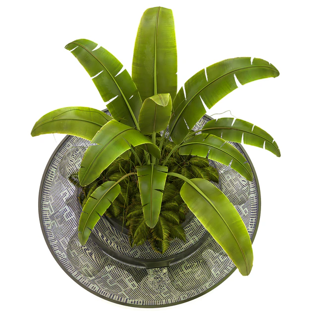 Outdoor Plant Vol 07 — Descargar