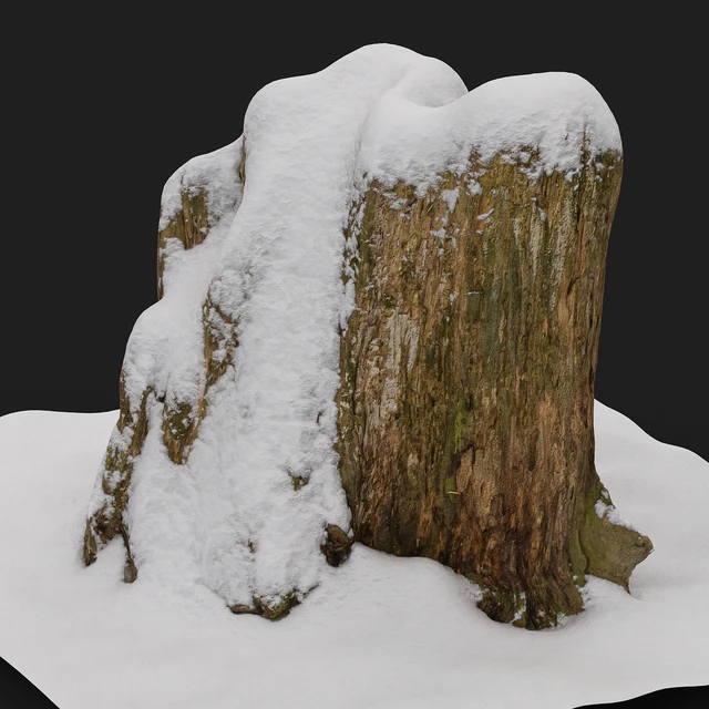 Stump under the snow — Descargar