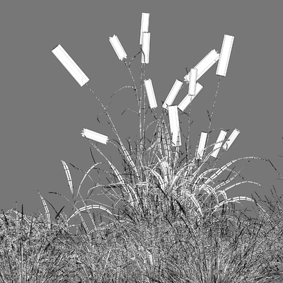 Meadow 09 — Вид 2