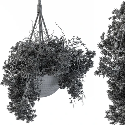 Hanging Pot plant - Set 102 — Ver 2