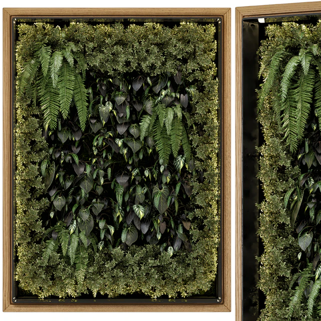Indoor Wall Vertical Garden in Wooden Base - Set 523 — Download