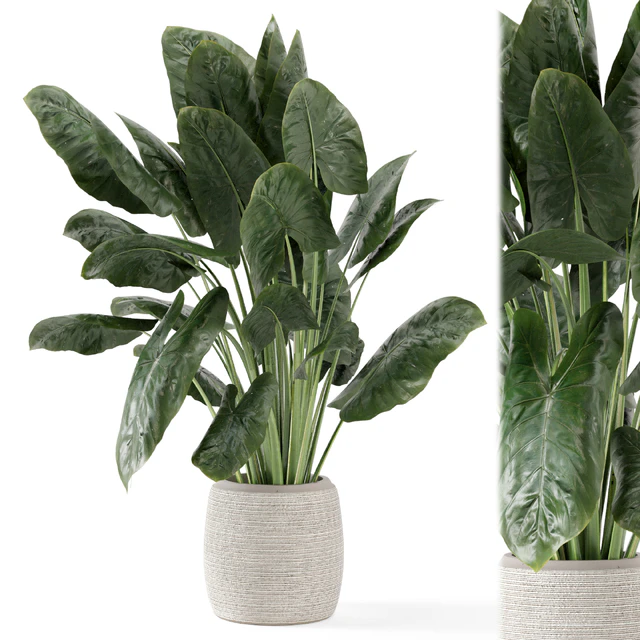 Indoor Plants in Handmade Stone Pot - Set 1797 — Descargar