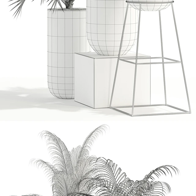 Plants collection 110 — Descargar