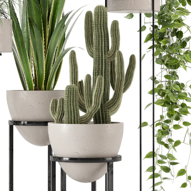 Indoor Plants in rusty Concrete Pot on Metal Shelf - Set 327 — Descargar
