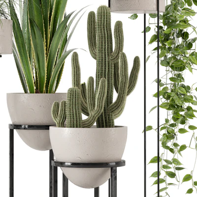 Indoor Plants in rusty Concrete Pot on Metal Shelf - Set 327 — Ver 2