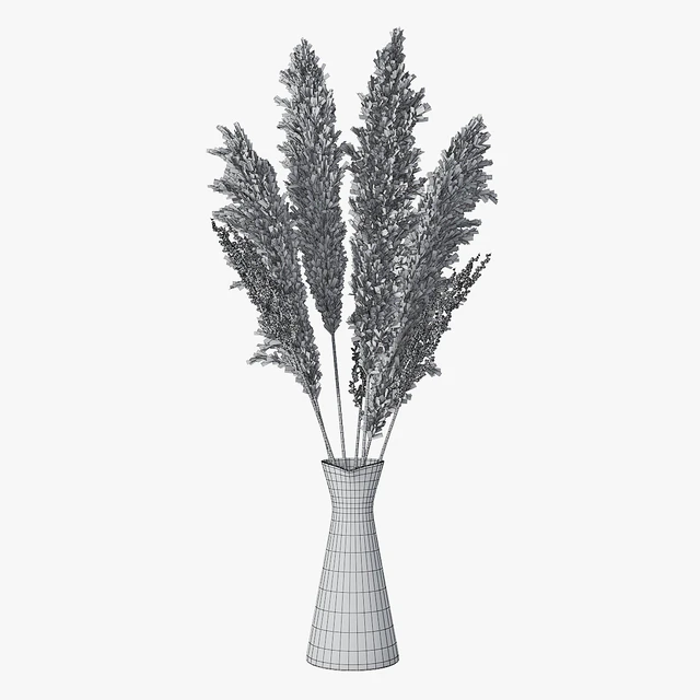 Pampas grass 04 — Descargar
