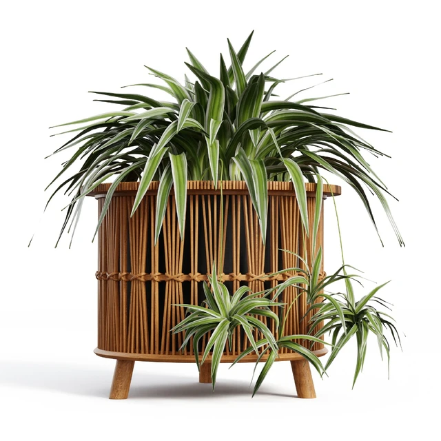 Maiki Woven Planters — Скачать