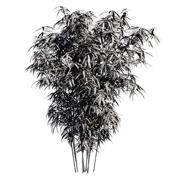 Bamboo Bush — Скачать