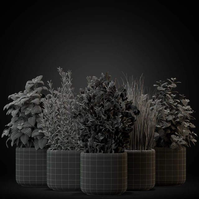 Plants collection 261 — Download