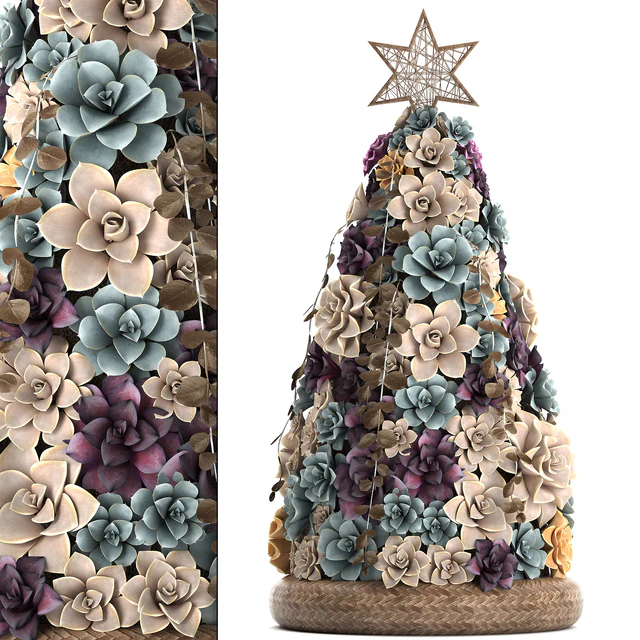 Plant Collection 421. succulents, Christmas tree, cake, Echeveria — Descargar