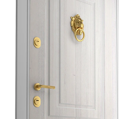 Entrance door with a knob-lever Lion — Ver 2