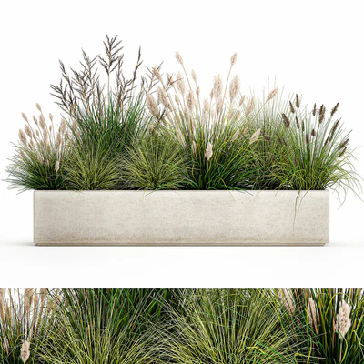 Collection of plants in a pot with pampas grass, reeds, flowerbed, bushes, landscaping. Set 1076. — Ver 1