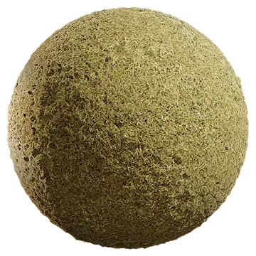 grass dried 079 — Descargar
