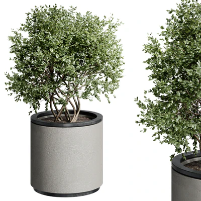 Outdoor Plant 25 — Вид 2