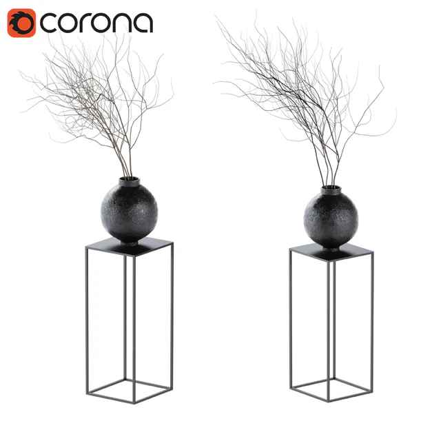 decorative dry plant — Descargar