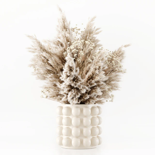 Pampas In A Bubble Pot — Descargar
