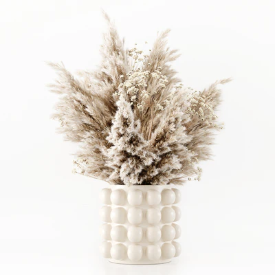Pampas In A Bubble Pot — Ver 3