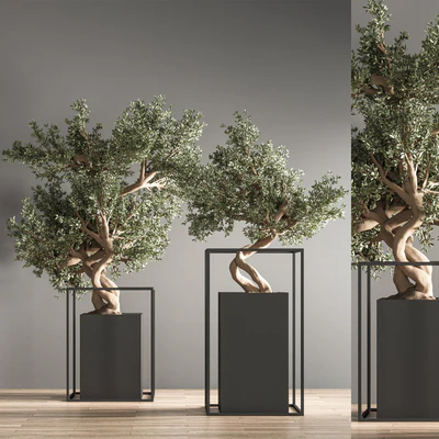 indoor plant bonsai set 24 — Ver 5