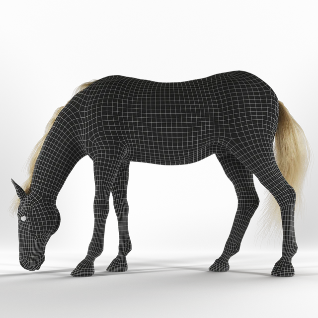 Grazing horse — Descargar