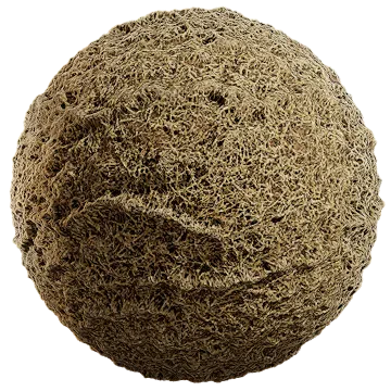 grass dried 006 — Descargar