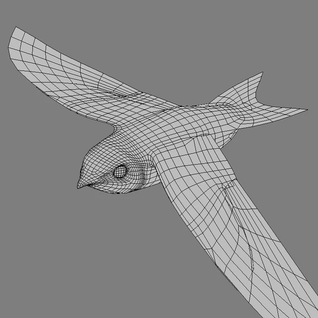 Common swift — Descargar