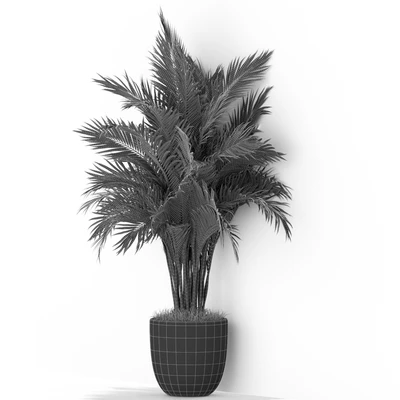 Plants collection 386 — Ver 2