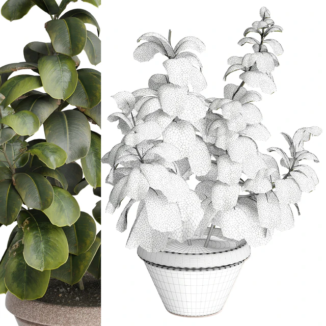 indoor Plant 491 — Descargar