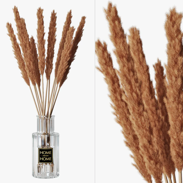 Pampas grass 05 — Descargar