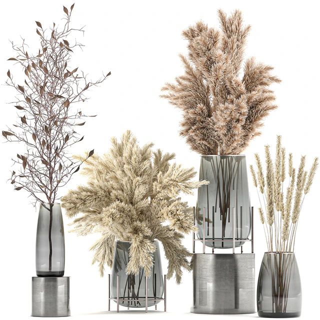 A collection of bouquets of dried flowers in glass vases with Pampas, branches, Cortaderia, pampas grass, reeds. Set 103. — Descargar