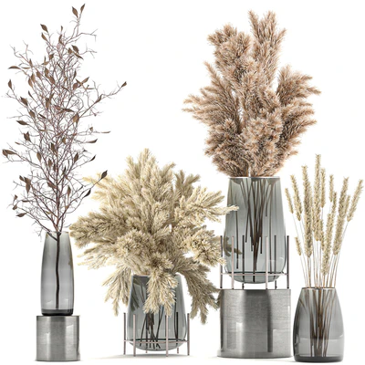 A collection of bouquets of dried flowers in glass vases with Pampas, branches, Cortaderia, pampas grass, reeds. Set 103. — Ver 1