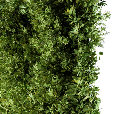 Outdoor Plant Box - Vertical Garden — Вид 3