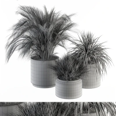 indoor Plant Set 223 - Plant Set in pot — Вид 2