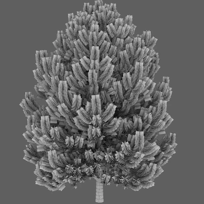 Pine — Ver 2
