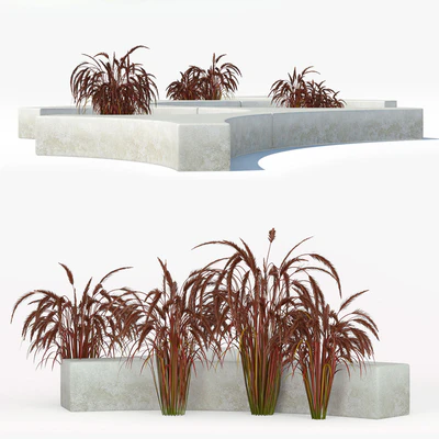 Folia bench Graceful Fountain Grass — Ver 2