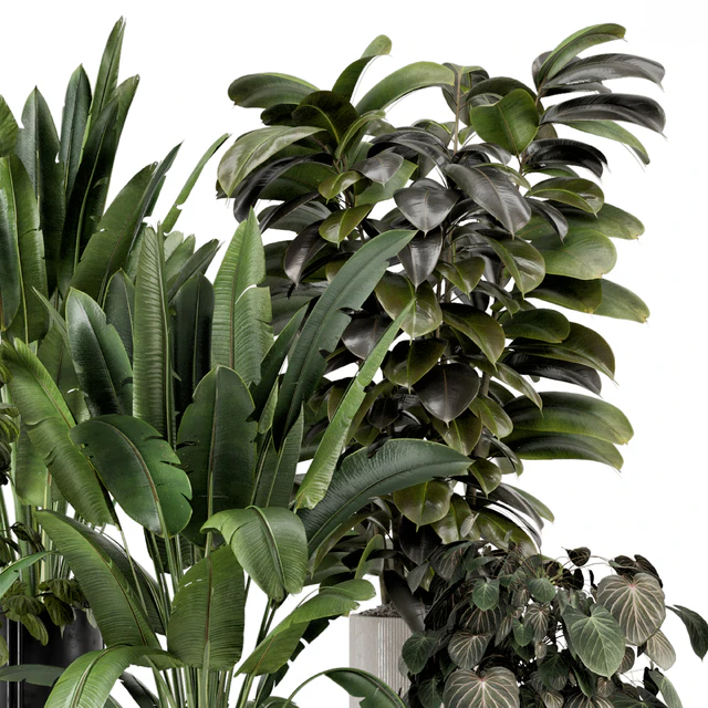 Indoor Plants in Ferm Living Bau Pot Large - Set 1208 — Скачать