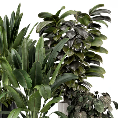 Indoor Plants in Ferm Living Bau Pot Large - Set 1208 — Вид 4