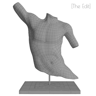 Laocoon Bronze Torso — Вид 2