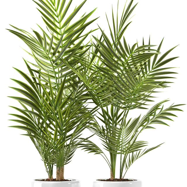 PLANTS 123 — Descargar