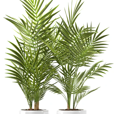 PLANTS 123 — Ver 2