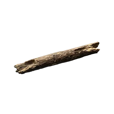 tree debris 003 — Descargar